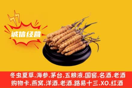 黄南州同仁市回收冬虫夏草